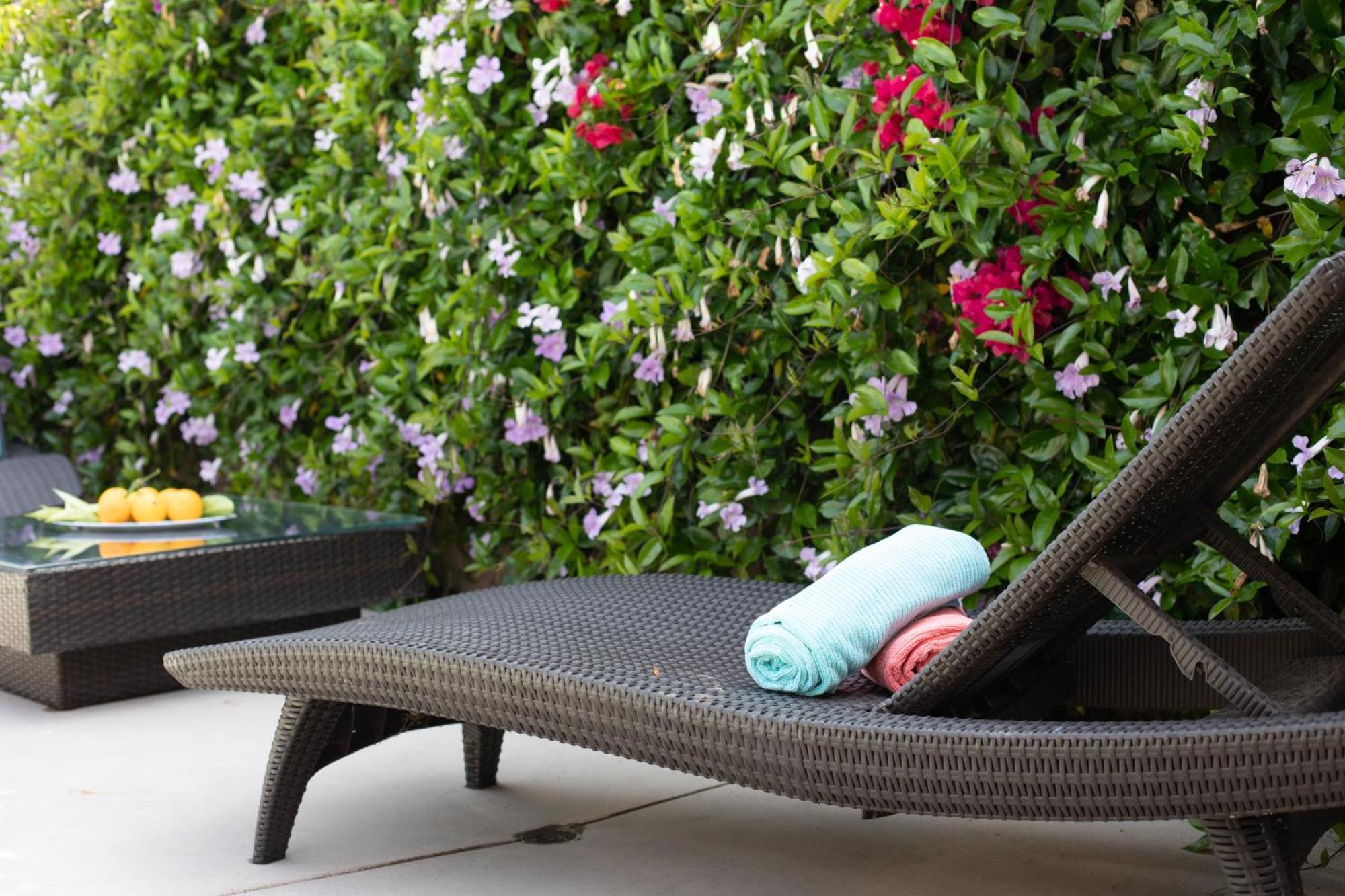 Oasis With Pool And Music Studio By Benvenu Los Angeles Buitenkant foto